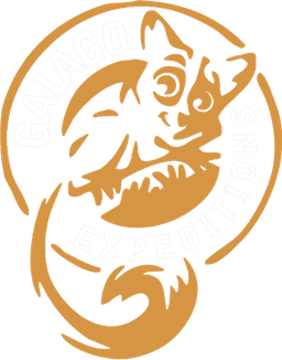 Galago Expeditions